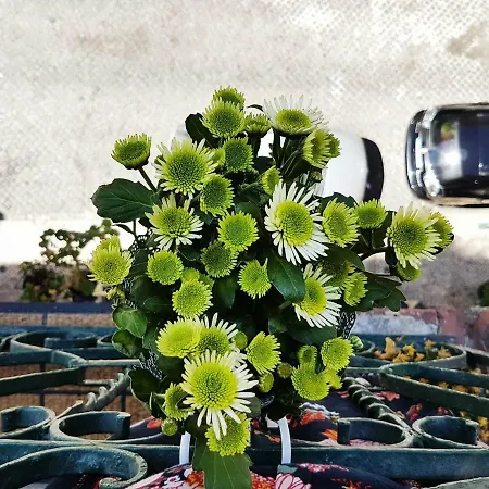 Vds Cosy In Center *