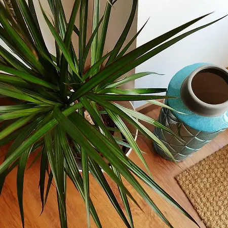 Vds Cosy In Center *